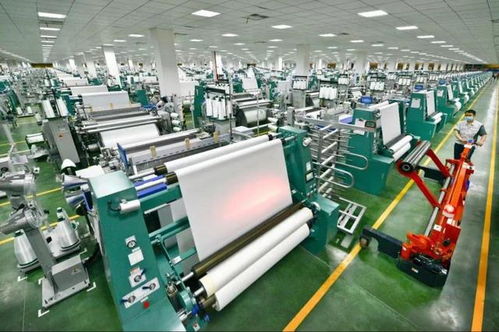 潛力無限 嘉興25家企業入圍省級技術開發榜單，創新力量引關注